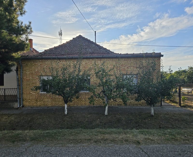 Jaša Tomić, 8