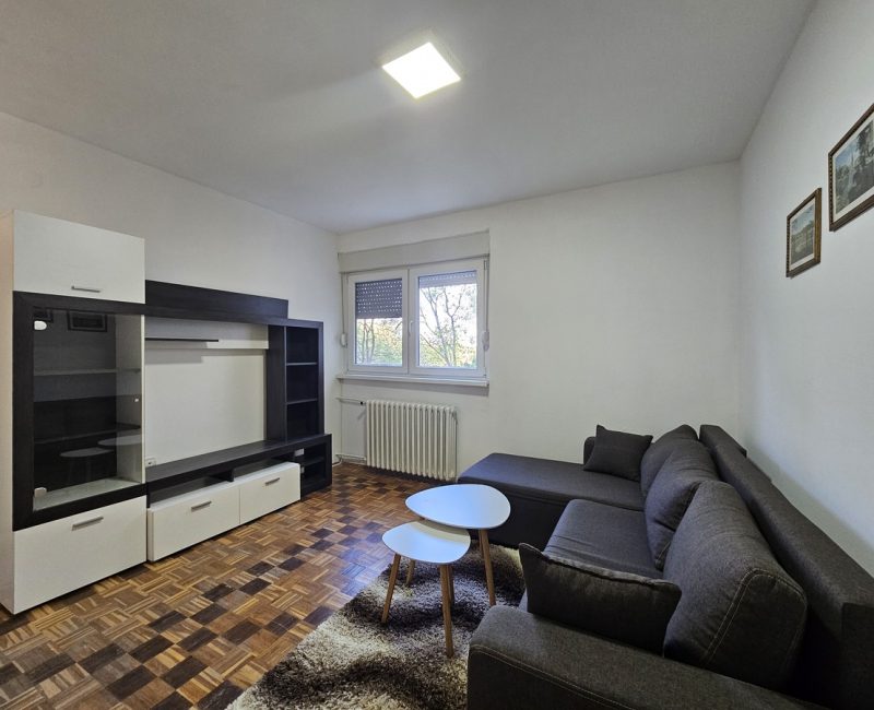 Jednoiposoban stan, Bagljaš 4