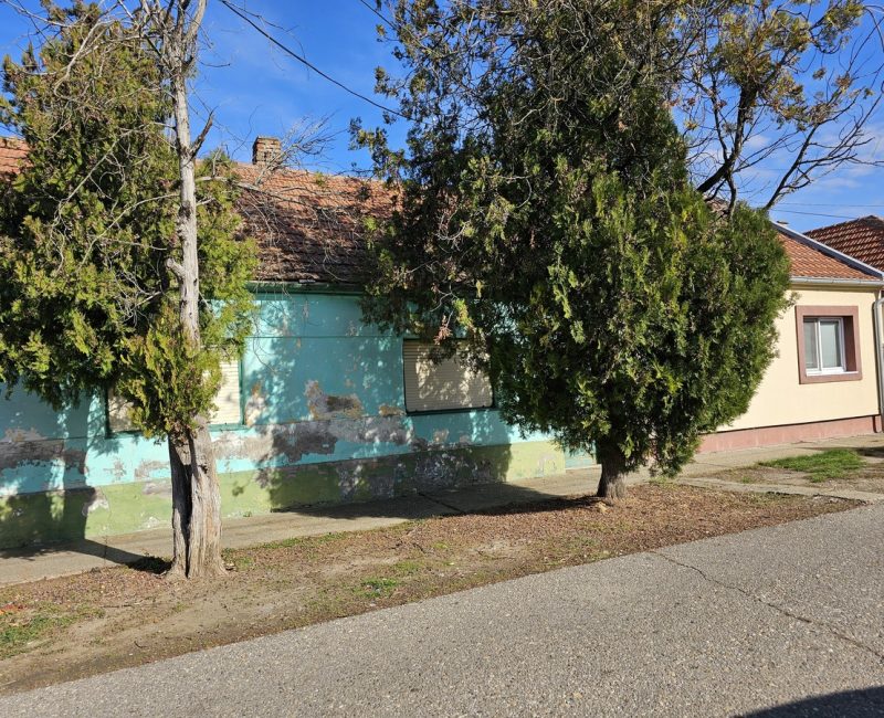 Kuća za renoviranje ili rušenje, 2