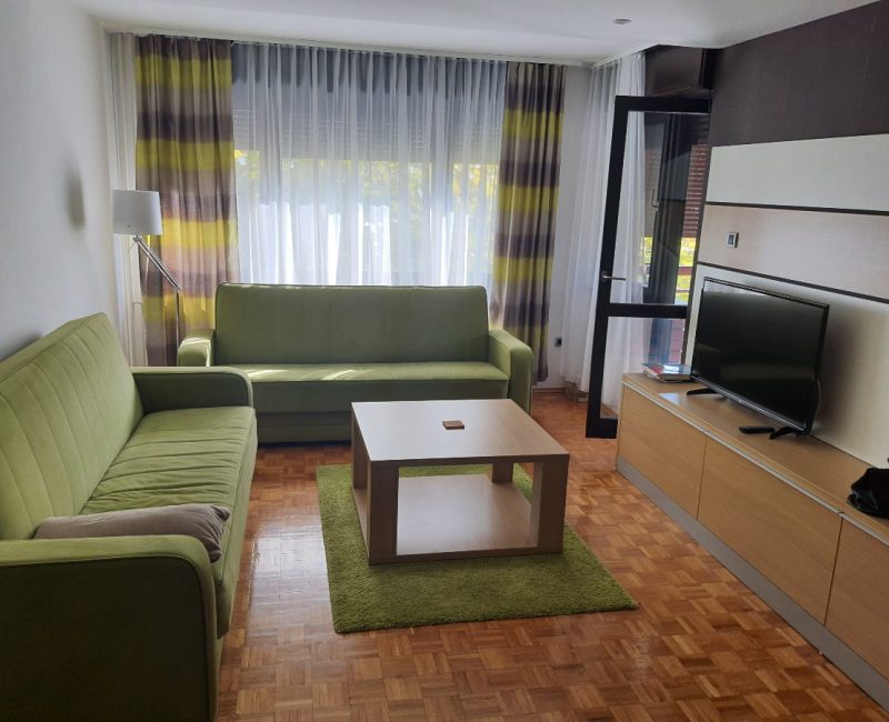 Lepo namešten, dvosoban stan na Bagljašu 28