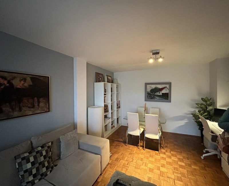 Novi Sad, Liman, 8