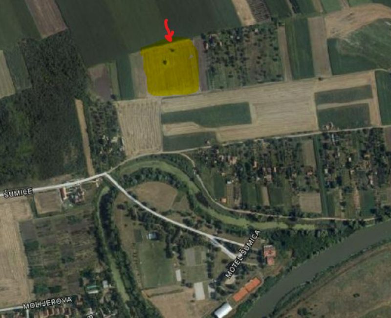 Zemljište, Šumica 11